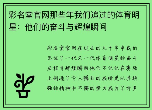 彩名堂官网那些年我们追过的体育明星：他们的奋斗与辉煌瞬间